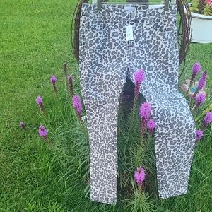 LOFT Animal Print Skinny Pants